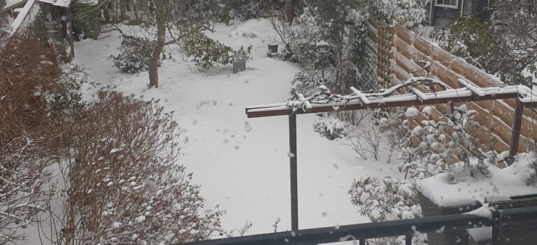 Bescherm je planten tegen vorst